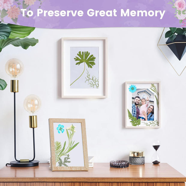 Flower Press Kit 11"x11" – DIY Flower Preservation Craft Set