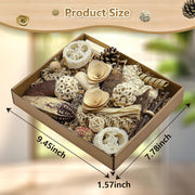 Natural Bird Toy Foraging Parrot Shredding Toys Box – Safe, Fun, and Engaging for Small-Medium Birds