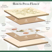 Flower Press Kit 11"x11" – DIY Flower Preservation Craft Set
