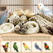 Natural Bird Toy Foraging Parrot Shredding Toys Box – Safe, Fun, and Engaging for Small-Medium Birds