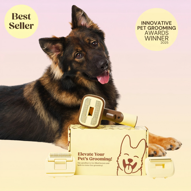 Pet Grooming &amp; Bathing Combo Set ; Hair Remover + Foam Water Spray Gun