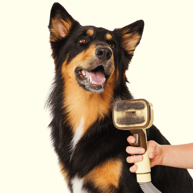 Pet Grooming &amp; Bathing Combo Set ; Hair Remover + Foam Water Spray Gun