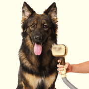 Pet Grooming &amp; Bathing Combo Set ; Hair Remover + Foam Water Spray Gun