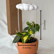 🌦️ Dripping Rain Cloud Plant Waterer – Add a Touch of Magic to Your Greens!